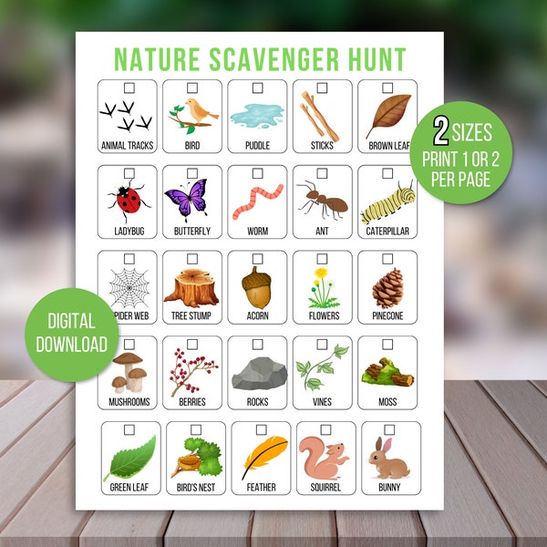 Nature Scavenger Hunt for Kids, Outdoor Nature Scavenger Hunt, Hike Activity, Nature Hunt, Kids Outdoor Activity, Nature Walk Activity