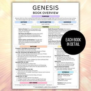 Womens Bible Study Guide, Printable Womens Bible Study Guide for Reflection, Bible Book Summary, Womens Bible Study Planner, Bible Summary