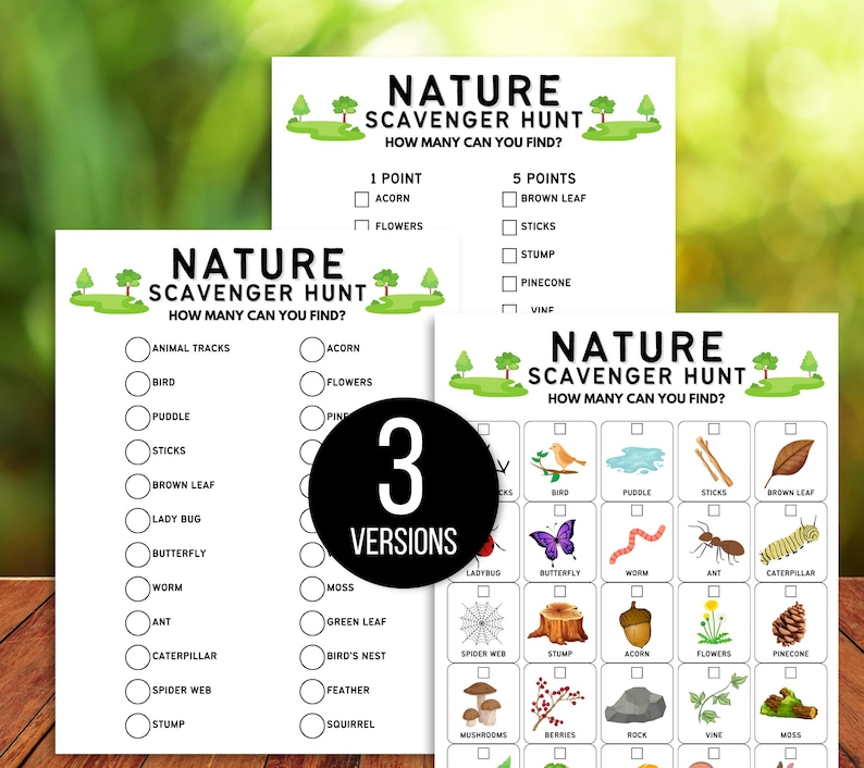 Nature Scavenger Hunt for Kids, Outdoor Nature Scavenger Hunt, Hike Activity, Nature Hunt, Kids Outdoor Activity, Nature Walk Activity
