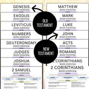 Womens Bible Study Guide, Printable Womens Bible Study Guide for Reflection, Bible Book Summary, Womens Bible Study Planner, Bible Summary