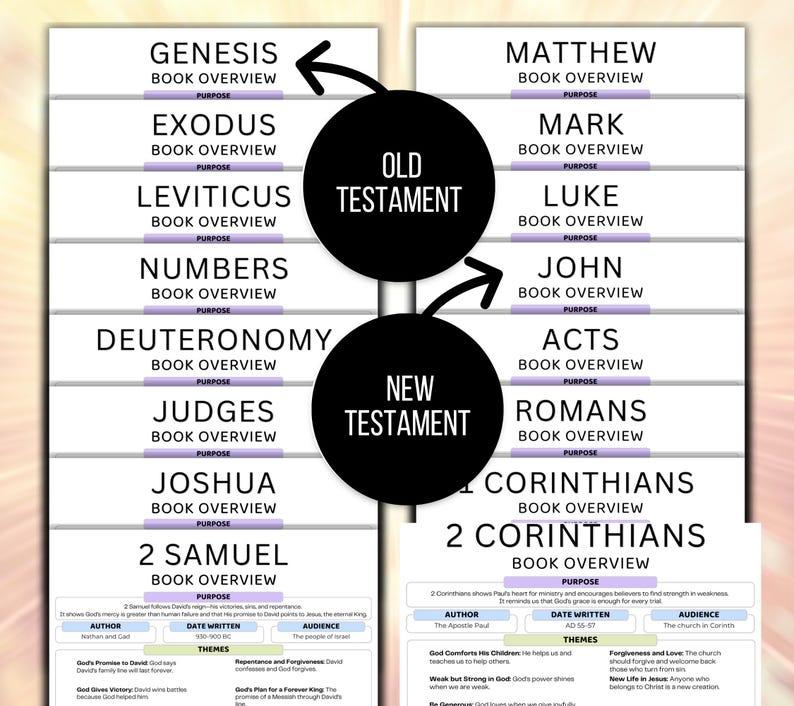 Womens Bible Study Guide, Printable Womens Bible Study Guide for Reflection, Bible Book Summary, Womens Bible Study Planner, Bible Summary