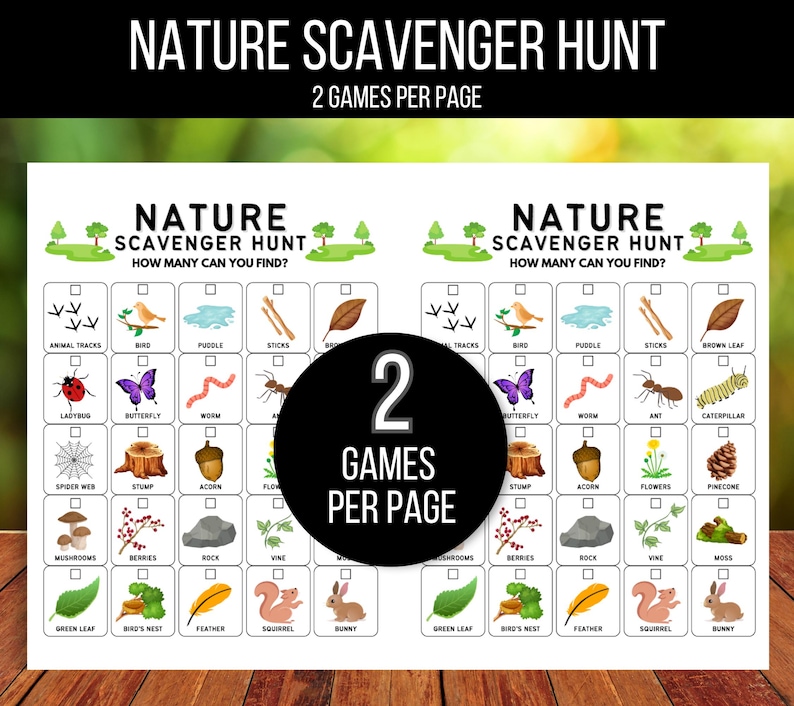 Nature Scavenger Hunt for Kids, Outdoor Nature Scavenger Hunt, Hike Activity, Nature Hunt, Kids Outdoor Activity, Nature Walk Activity