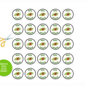 Bug Bingo By Christine Berrie 9781856699402