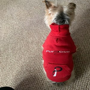 Dog Hoodies