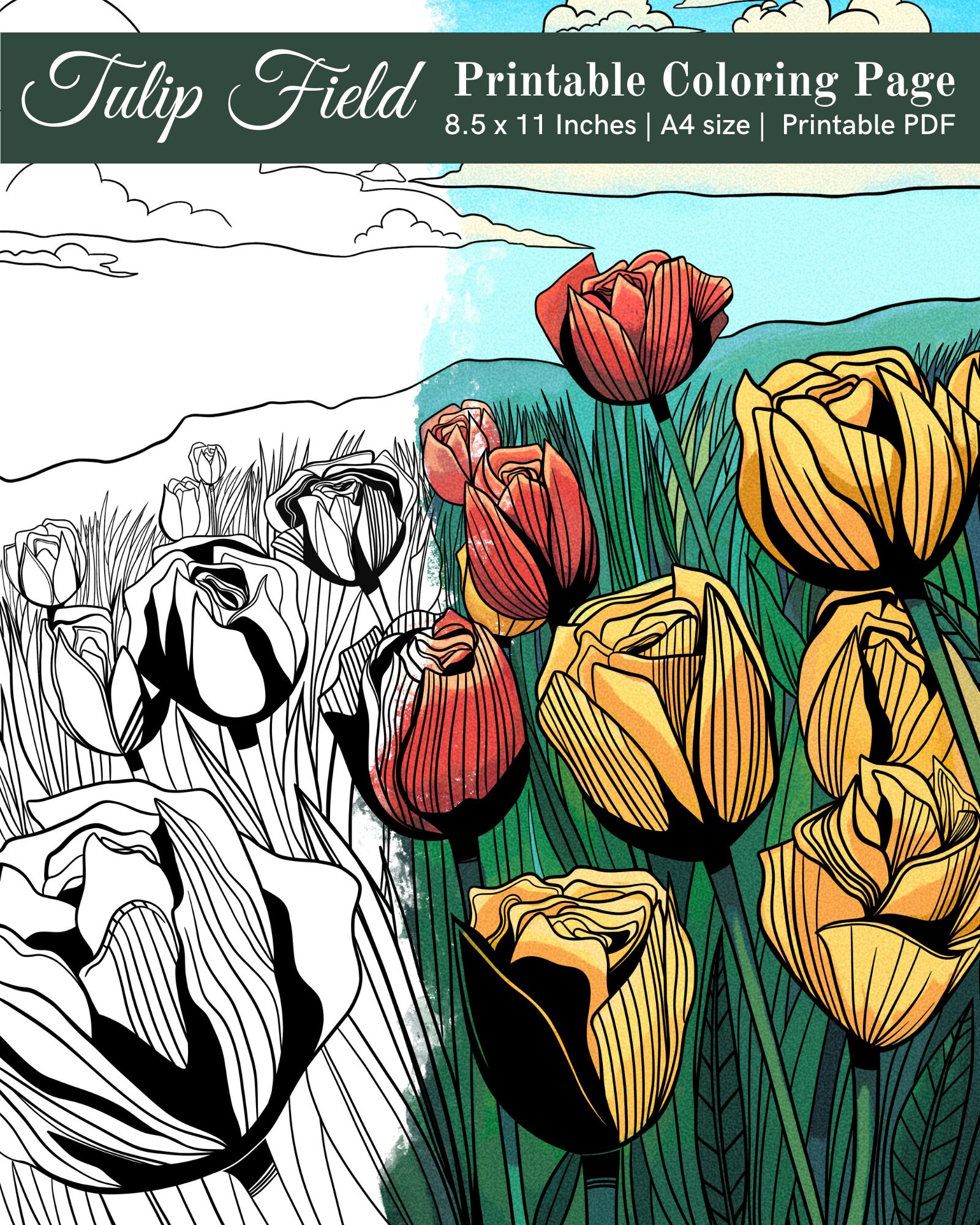 Printable Tulip Field Coloring Page for Kids and Adults - Etsy