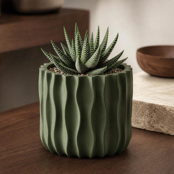 Close-up of a Dark Green WaveLoom planter with a compact haworthia plant