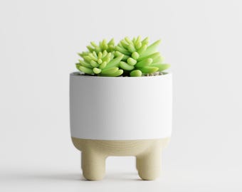 CalmRise Elevated Planter, Minimalist Rounded Indoor Plant Pot with Soft Legs, Two Tone Succulent Holder, 2 Sizes, 5 Matte Colorways
