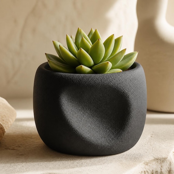 NestArc Dimple Sculptural Planter, Rounded Scoop Succulent Pot, Organic Modern Plant Holder, 4 and 8 Inch, 25 Matte Colors