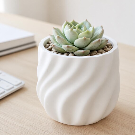 White CurrentFold indoor planter with an echeveria succulent viewed from above