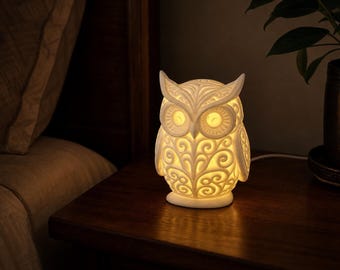 Nocturne Crest Owl Lamp, Ornamental Bird Night Light, Warm Wired USB LED, Gothic Woodland Decor, 25 Matte Colors