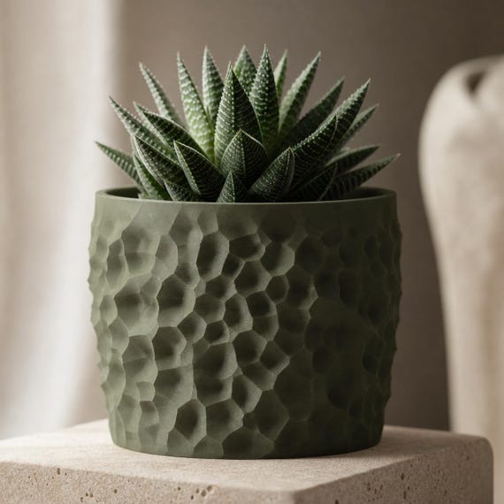 Close-up texture view of a Dark Green Erodewell planter with a Haworthia