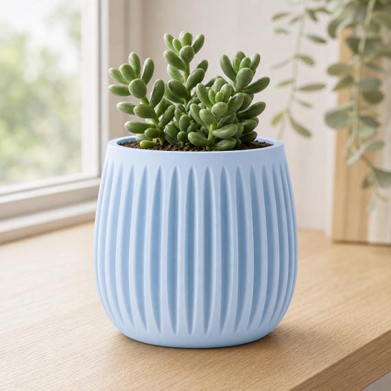 Close-up of the GrooveNest indoor planter in Ice Blue with a small upright succulent