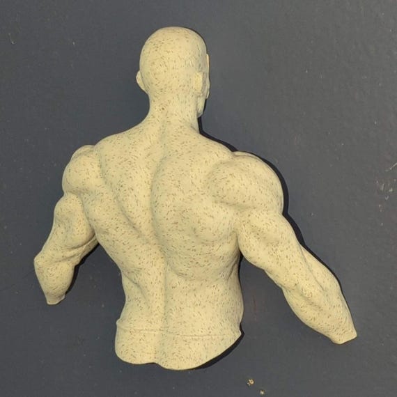 Muscular Back Sculpture: Stone/Marble Finish Anatomy Art, shown in another listing view highlighting visible design details.