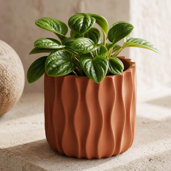 WaveLoom Woven Wave Planter, Textured Cylindrical Plant Pot, Organic Modern Desk Planter, 5 Sizes, 25 Matte Colors