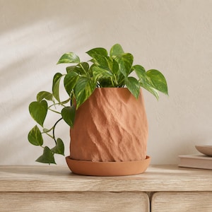 May include: A terracotta plant pot with a textured, crinkled surface and a matching round saucer. A trailing pothos plant with variegated green and yellow heart-shaped leaves grows out of the pot, with vines cascading over the side of the vessel.