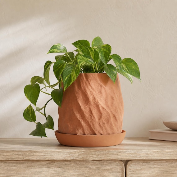 Riftstone Rock Texture Planter with Drainage Tray, Sculptural Indoor Plant Pot, Organic Modern Decor, 5 Sizes, 25 Matte Colors