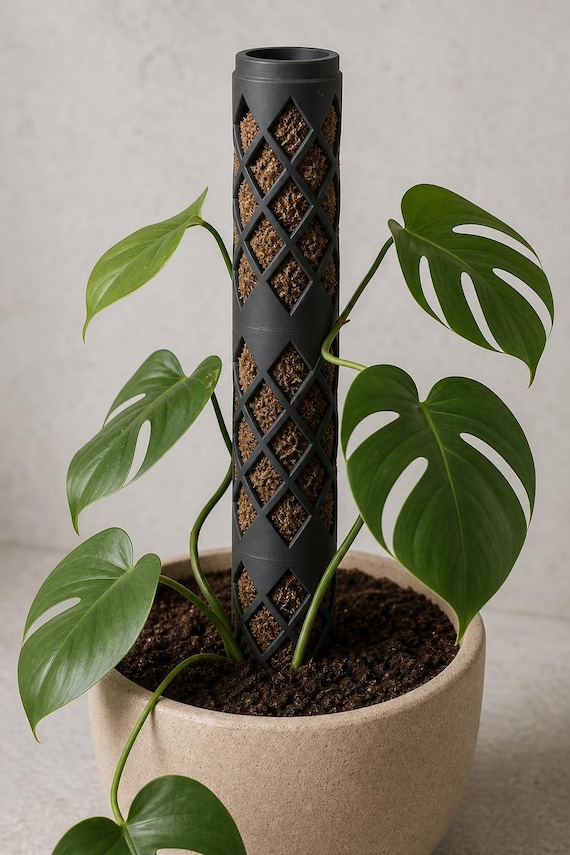Low-angle close-up of the Charcoal Rootspire support with a climbing plant