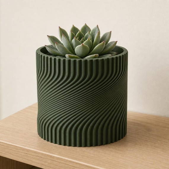Dark Green Swayline cylindrical planter with a compact rosette succulent