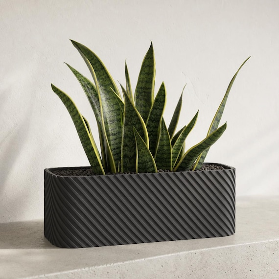 Charcoal Driftline low planter with a snake plant against a warm white wall