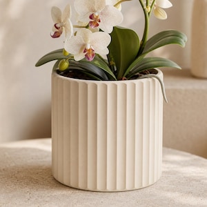 Puede incluir: Una maceta cilíndrica de color crema con una textura estriada vertical. La maceta contiene una orquídea phalaenopsis con pétalos blancos, un centro de color púrpura oscuro y amarillo, y hojas de color verde oscuro que sobresalen.