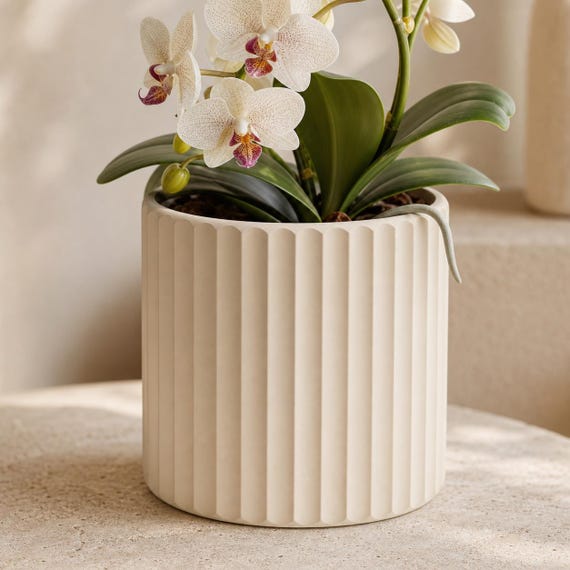 Quietline Fluted Planter, Ribbed Indoor Plant Pot, Modern Minimalist Succulent Planter, 5 Sizes, 25 Matte Colors