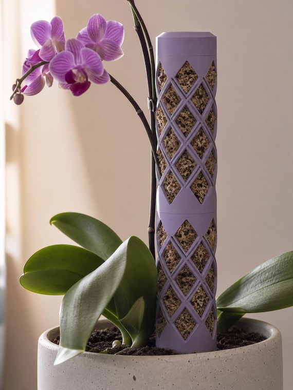 Close-up Lilac Purple Rootspire plant support displayed with an orchid