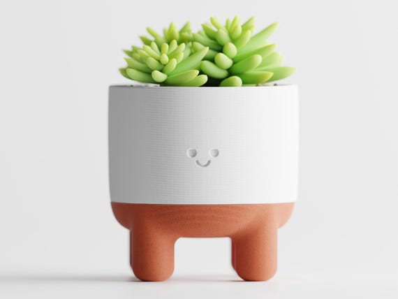 Front close-up of the CheerPod planter showing its smooth pot and elevated stance