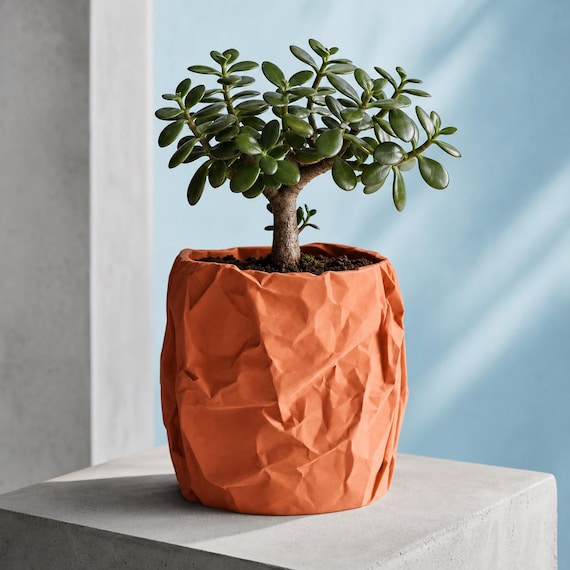 Round crumpled paper look planter in Terracotta with a jade plant