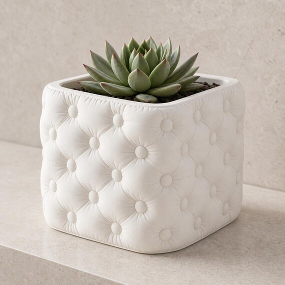 Cushioncrest quilted planter in Ivory White with a sculptural succulent