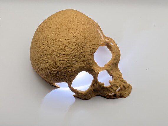 Sunken Skull Lamp, Gothic Table Lamp, Multiple Colors, shown in listing image 7 with additional visible details or options.