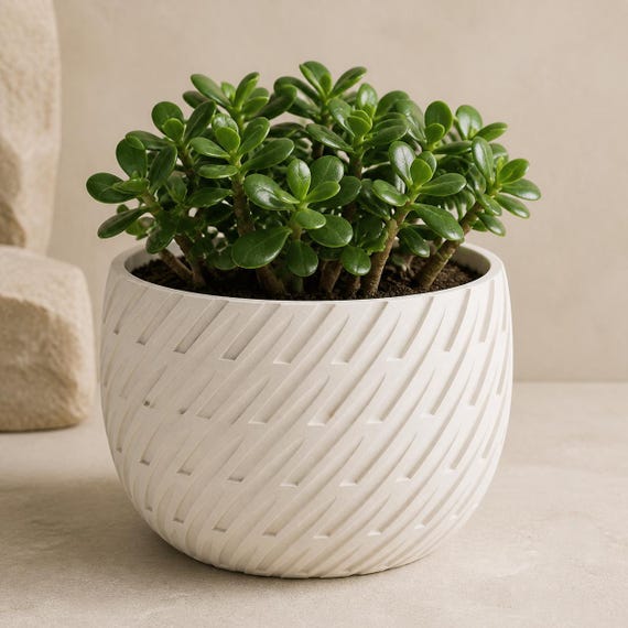 Leafstream Sculptural Planter, Organic Lattice Plant Pot, Modern Botanical Decor, Rounded Succulent Pot, 5 Sizes, 25 Matte Colors