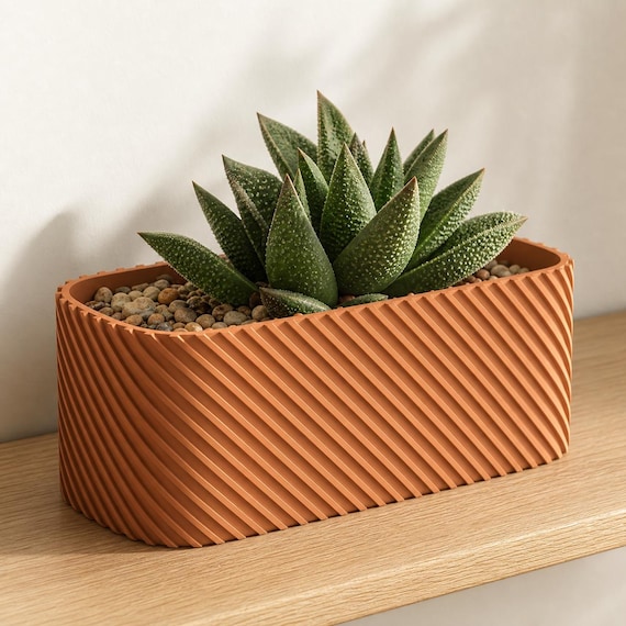 Terracotta Driftline rounded rectangle planter with a succulent on an oak shelf