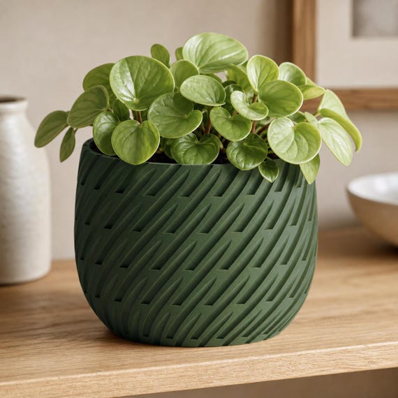 Close-up of the Dark Green Leafstream planter with pale green peperomia foliage