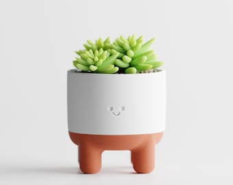 CheerPod Smiling Planter, Cute Face Succulent Pot with Rounded Legs, Two Tone Desk Plant Holder, 3 Sizes, 5 Matte Colorways