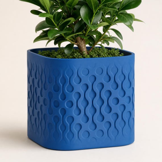 Close-up low-angle view of the Tidecell textured planter in Marine Blue with a green plant