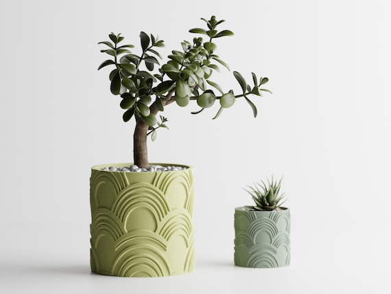 ArcEcho Patterned Planter, Raised or Recessed Arch Indoor Plant Pot, Modern Succulent Holder, 4 Sizes, 25 Matte Colors