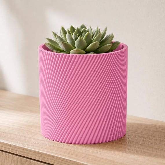 Sakura Pink SlantThread cylindrical planter with a compact green rosette succulent
