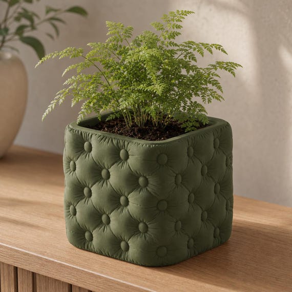 Cushioncrest button-tufted plant pot in Dark Green with a small fern