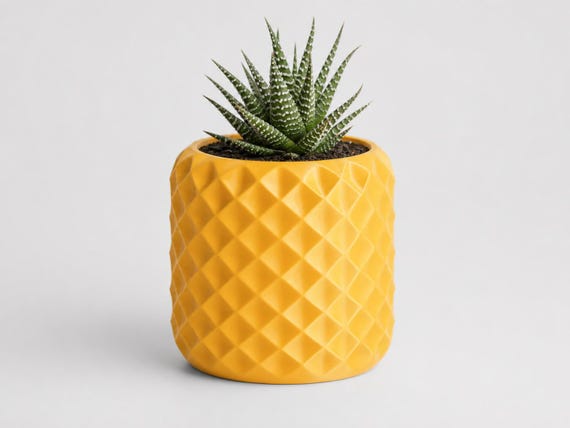 Small FacetNest geometric planter in Sunflower Yellow with a haworthia succulent