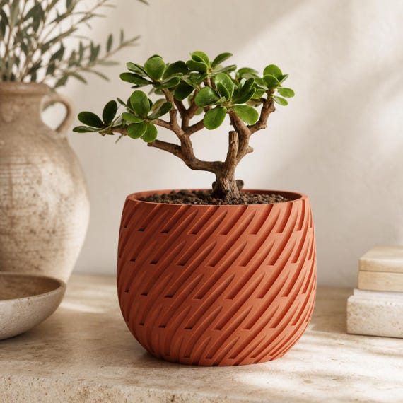 Close-up of the Terracotta Leafstream lattice planter with a bonsai-style jade plant