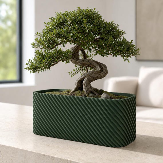 Driftline Low Planter, Diagonal Rib Rounded Rectangle Plant Pot, Modern Bonsai and Succulent Decor, 5 Sizes, 25 Matte Colors