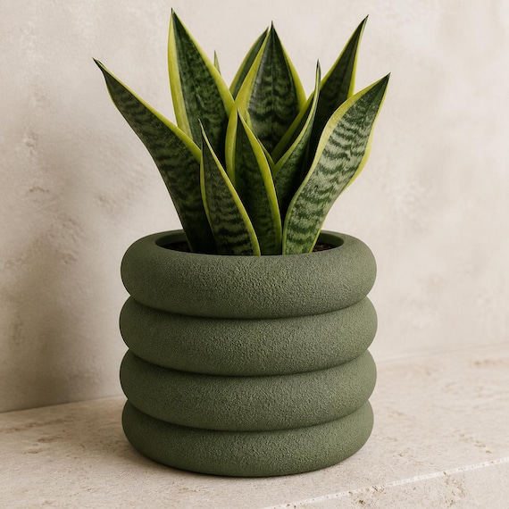 Close-up of the Cascadewell four-ring planter in rough Dark Green with a snake plant