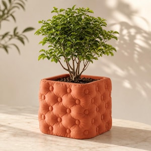 May include: A square terracotta-colored planter with a tufted, button-detailed exterior texture. The planter holds a small, leafy green shrub with multiple thin branches and dense foliage, creating a compact and structured appearance.