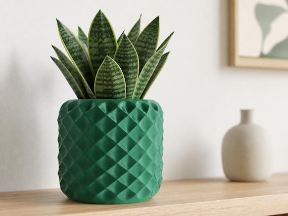 Large FacetNest indoor planter in Mistletoe Green with a compact snake plant