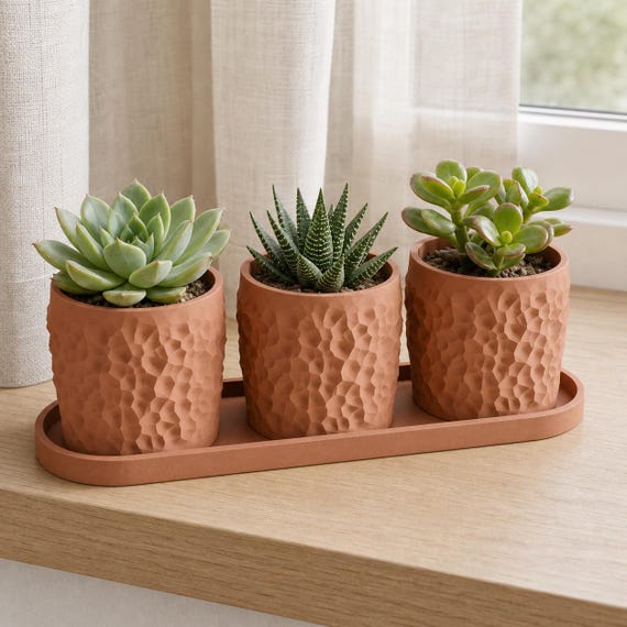 Elevated close-up of the Terracotta Tessellune trio and shared tray