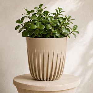 CrownRill Architectural Rib Planter, Sculptural Indoor Plant Pot, Modern Minimalist Home Decor, 5 Sizes, 25 Matte Colors