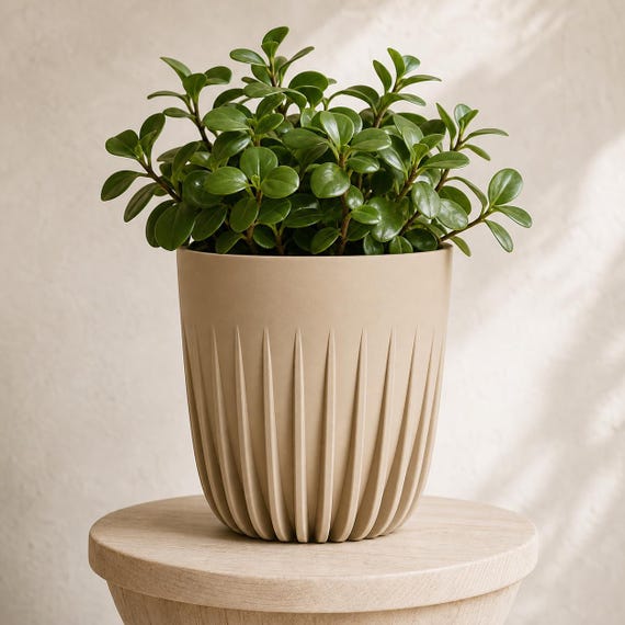 CrownRill Architectural Rib Planter, Sculptural Indoor Plant Pot, Modern Minimalist Home Decor, 5 Sizes, 25 Matte Colors