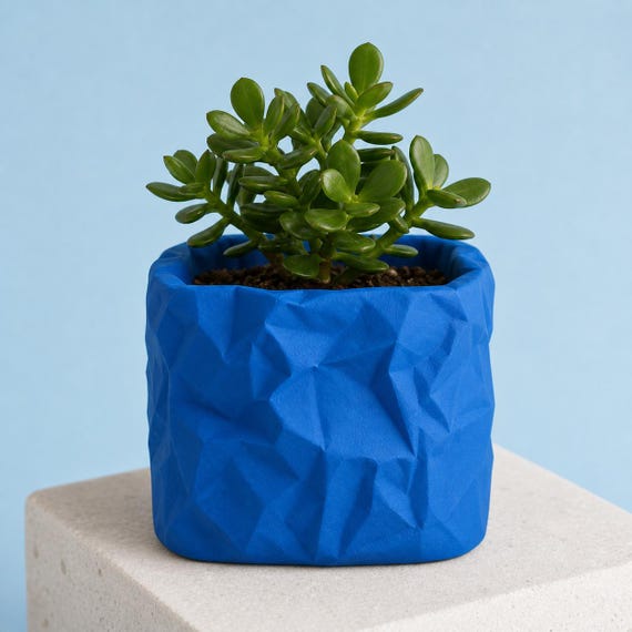 Square crumpled paper look planter in Marine Blue with a jade plant