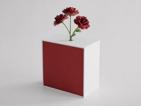 Rear three-quarter view showing the white frame depth, fitted deep red backdrop, and narrow glass tube