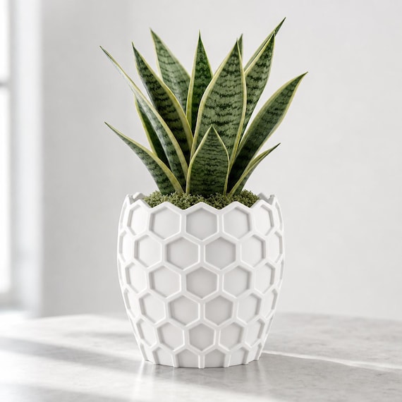 Close-up of the HexaGrove geometric planter in White with a snake plant